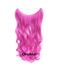 Wire hair wavy Orchid