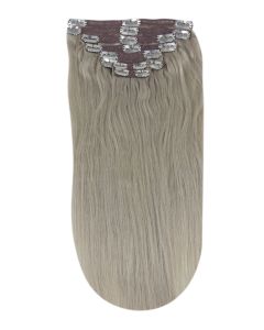 Remy Human Hair extensions straight - silver sand SS