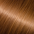 10# Medium Ash Brown